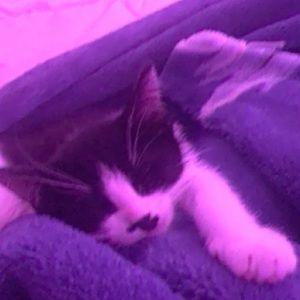 Meet your Posher, Hailey